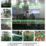 420/520/720 Large Vertical High Quality Potato Chips Automatic Packing Machine thumbnail-2
