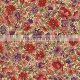 High Quality of Transfer Film for Leather