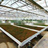 Large Span Glass Multi-span Greenhouse thumbnail-5