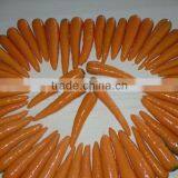 Mix Export Fresh Frozen Carrot Company/Hot Selling thumbnail-1