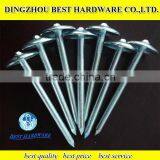 BWG 8 Roofing Nails With Washer Head thumbnail-1