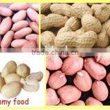 All Kinds Of Red Peanut Kernels thumbnail-1