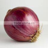Red Onions Indian Onions thumbnail-5