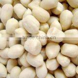 New Crop Blanched Peanut Kernels, Round Shape, Carton Packing Top Quality thumbnail-3
