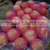 Excellent Quanlity 100% Fresh Red Fuji Apples
