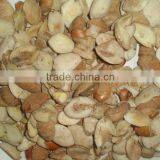 Irvingia Gabonensis Seeds thumbnail-1