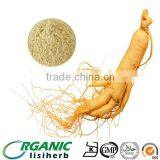 hot sale ginseng extract / ginseng prices 2014 / ginseng root extract