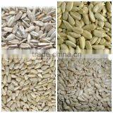 Sunflower Kernels Sunflower Seeds Kernels thumbnail-4