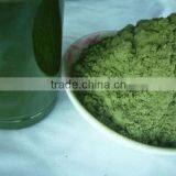 100% Purity Organic Barley Grass Powder thumbnail-4