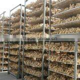 Fresh Air Dried Ginger thumbnail-6