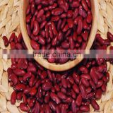 JSX fresh dark red kidney bean origin food grade red kideny bean