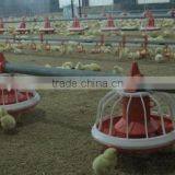 Hot sales!!!! high quality of poultry feeding equipment