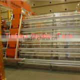 poultry egg layer cage