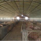Large Multi-span and Fire Retardant Breeding Greenhouses , Pig House , Pig Shed