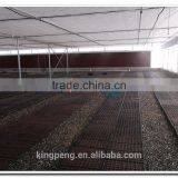 Venlo Polycarbonate Sheet Greenhouse for Sale thumbnail-2