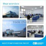 Stainless Steel Pump/hot Water Pump/sump Pump thumbnail-6