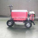 Hot Sale 48L 43cc EPA Gas Cooler Scooter/camping Scooter (TKS-S43) thumbnail-4