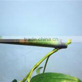 Curtain Home Garden Decorative Edging 3ft to 17ft Height Outdoor Simulation Green Bamboo Poles EZZZ06 1003 thumbnail-3