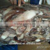 Wholesale Frozen Cheap Giant Squid Tentacles Fish Bait thumbnail-2