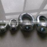 Rigging Galvanized Drop Forged Eye Nut thumbnail-5