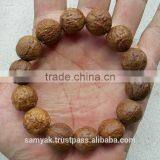 Buddha Chitta 14 Beads Bodhi Seed Genuine Indonesian Phoenix Eye Mala Phrengba thumbnail-3
