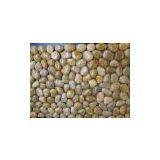 Pebble Stone thumbnail-1