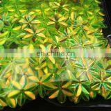 Yellow Leaf Loos Paillette Sequins Trimming Glue on Shoulder Fine Shining DIY Clothes For Party Dancing Jewelry Make Accessories