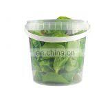 Food Grade Plastic Bucket 2 Liter Plastic Pickle Barrels for Sales thumbnail-2