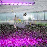 HL-G80A Led Grow Lights for Plants thumbnail-6