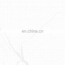 New Printing Wholesale Price 600x600mm Polished Porcelain Wear-Resistant Heat Wall and Floor Tiles