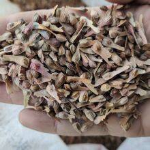 1000g Loose Raw Acer Palmatum Seeds Palmate Smooth Japanese Maple Seed for Planting thumbnail-1