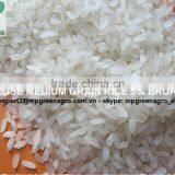CALROSE MEDIUM GRAIN RICE 5% BROKENS