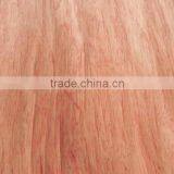 Grade ABCD 0.22-0.35mm Plywood Bintangor Veneer thumbnail-5
