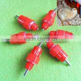 The Chicken With a Water Fountain Chicken Water Fountain Large Chicken With a Water Fountain thumbnail-1