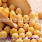 Chinese soya beans ,non-GMO,good quality,cheap price                        
                                                Quality Choice