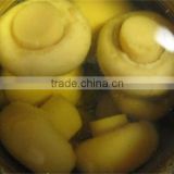 high quality healthy fresh mushrooms/ agaricus bisporus from china