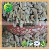 Bakery Sunflower Kernel Price thumbnail-1