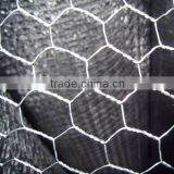 1/2 inch pvc coated galvanized hexagonal wire mesh
