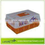 Leon Series Plastic Chick Crate for Sale thumbnail-5