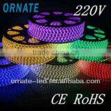 IP67 SMD 5050 220v Led Strip for Hotel & Car Decoration