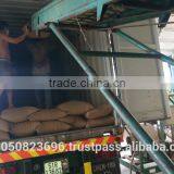 ROASTED COFFEE BEANS thumbnail-4