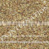 Dill Seeds / Dill Seeds TBC / Anthem Graveolens thumbnail-4