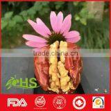 Manufacture Supply Chinese LQ Organic Walnut Kernels and Red Jujube thumbnail-2