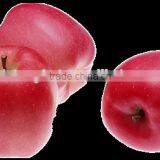 88# Qinguan Apple thumbnail-5