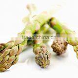 Frozen Asparagus, IQF Asparagus thumbnail-6