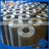 haotong galvanized welded wire mesh factory in alibaba weld wire mesh dog cage