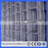 Bright Galvanized Welded Wire Mesh/low Price Electro Galvanized Welded Wire Mesh Panel(Guangzhou Factory) thumbnail-4