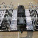 Piglet Incubator for Pig Equipment thumbnail-3