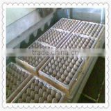egg carton mould/egg box mould
