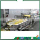 Vibrative Air Blast Fruit Drying Machine thumbnail-5
